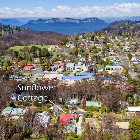 Sunflower Cottage Katoomba Extérieur photo
