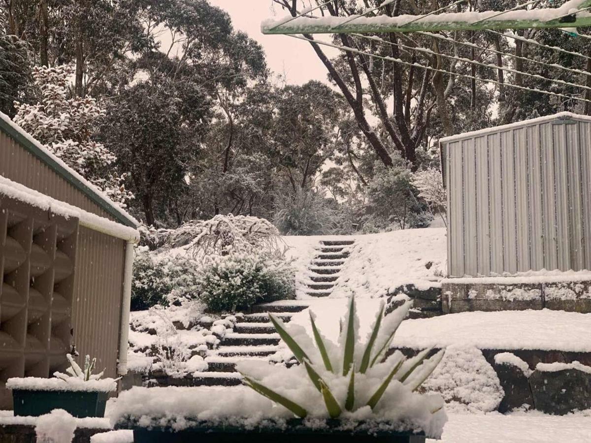Sunflower Cottage Katoomba Extérieur photo